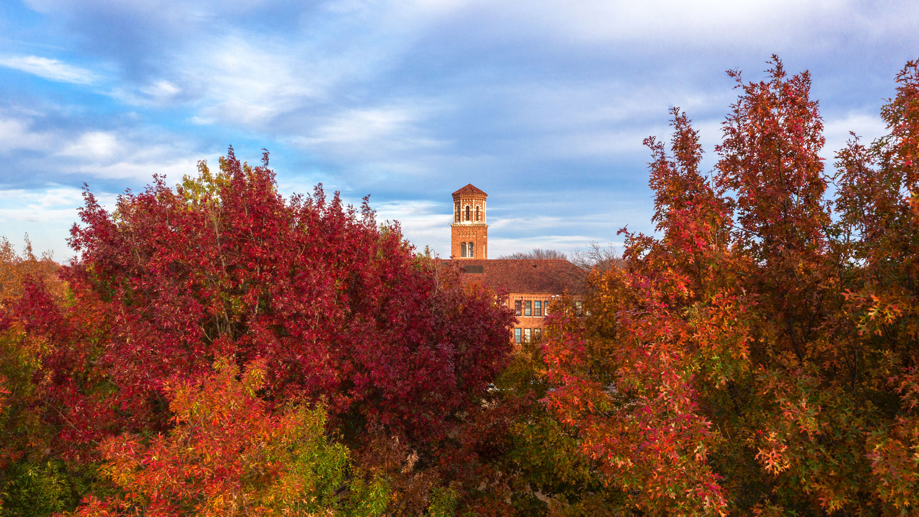 Hardin Tower in the distance between trees with the colors of autumn leaves.