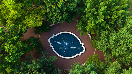 Bolin fountain from above showing green 