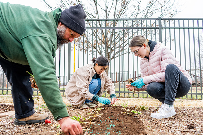 Picture of the honors community garden behind the Wellness Center as Jason Cooper works with students Tiffany Nguyen and Evanne Kleinert