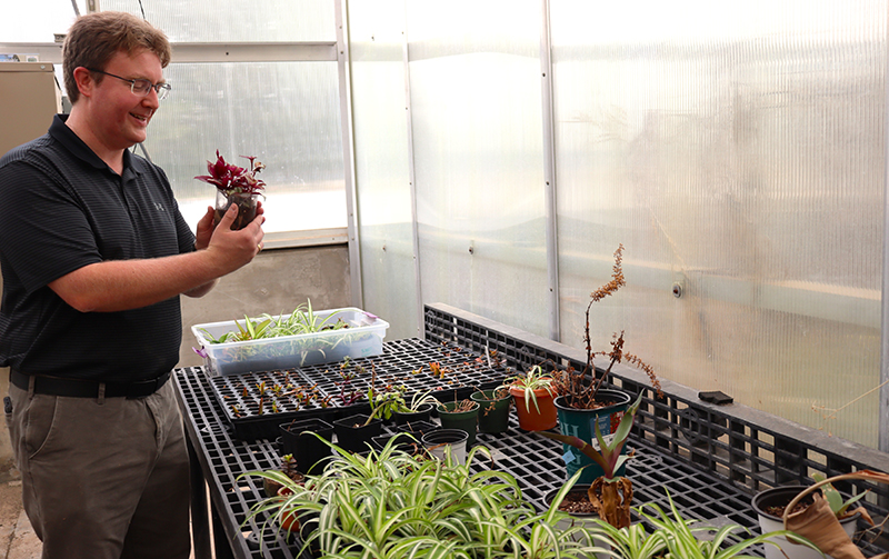 Assistant professor Timothy Pegg oversees the Bolin Greenhouse at MSU Texas. Students do much of the upkeep of the plants.