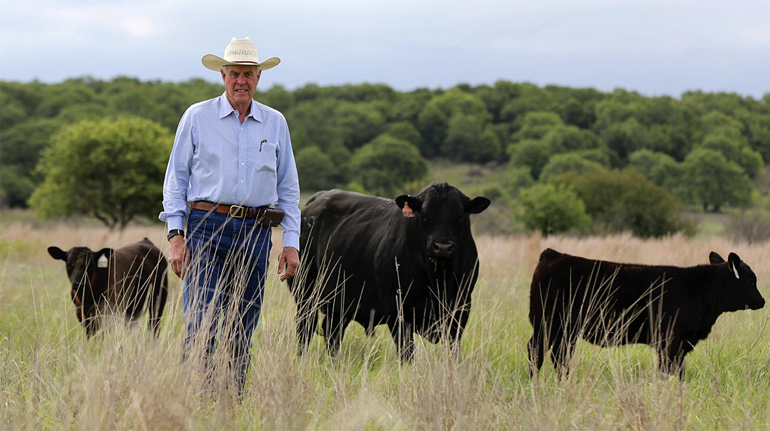 Diaz Murray stands with some of his cattle on the ranch