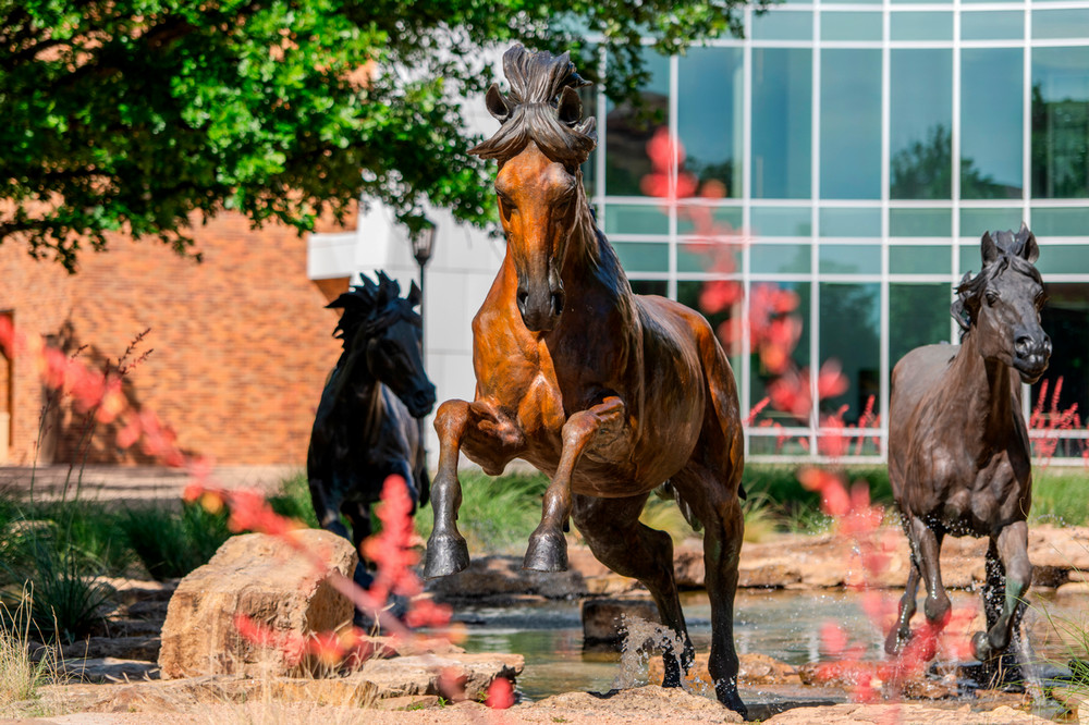 Spirit of the Mustangs horses in front of Centennial Hall